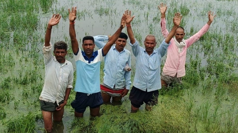 Moradabad: Paths Submerged and Fodder Ruined in Siraswan Gaud; Commuters Create Uproar on Highway