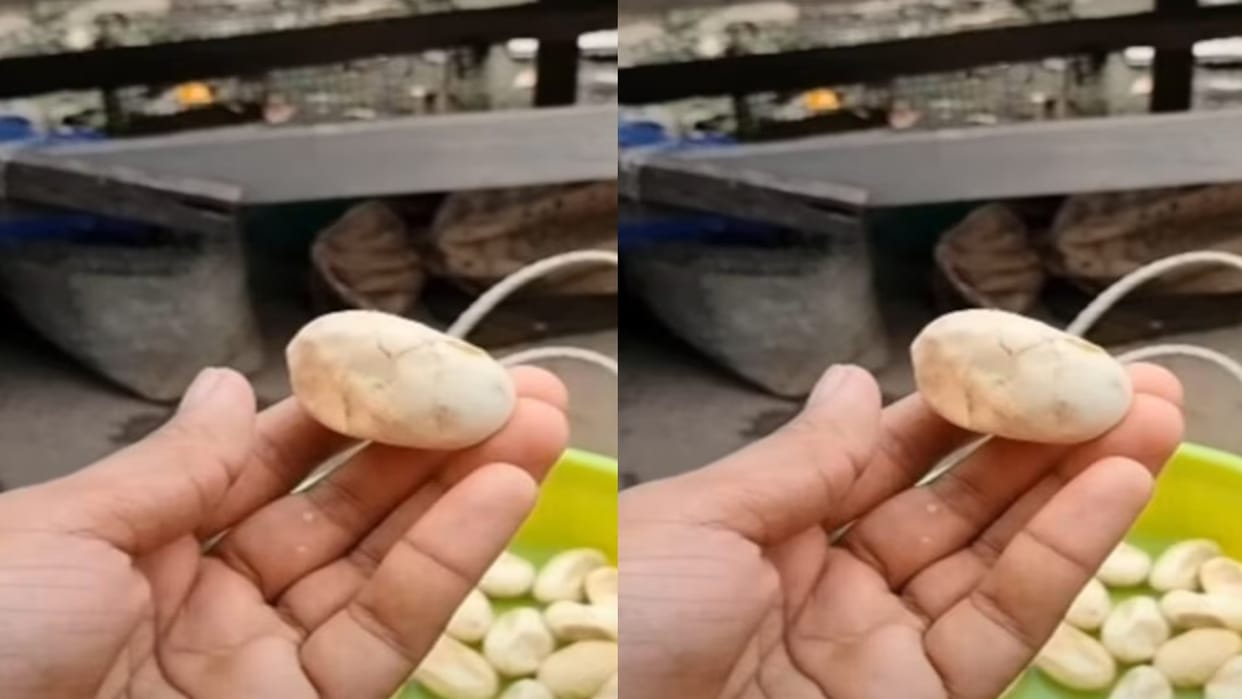 viral nagaland market sells python eggs for thousand rupees dozen people eat exotic snake eggs northeast india