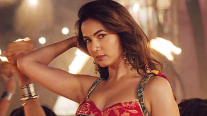 Mirzapur the  Movie new characters details featuring ravi kishan sonal chauhan and sushant singh