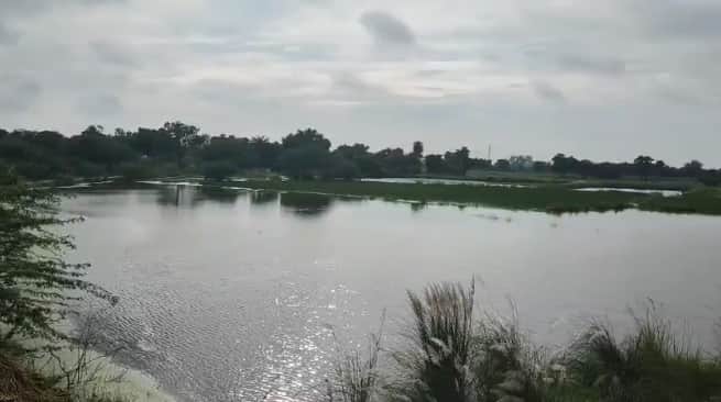Auraiya massive waterlogging in fields due to rising Pandav river levels farmers break down