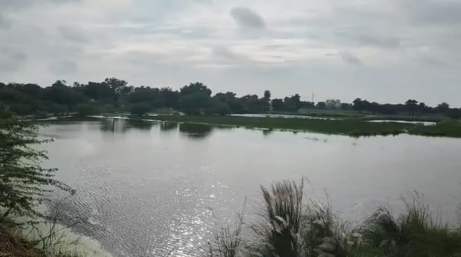 Auraiya massive waterlogging in fields due to rising Pandav river levels farmers break down
