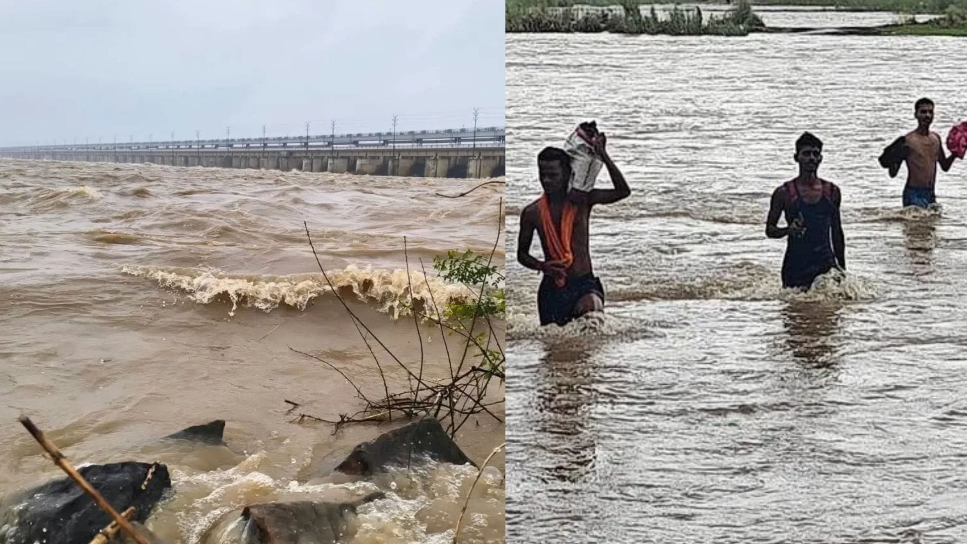 लगातार बारिश के कारण उफनाई नदियां
