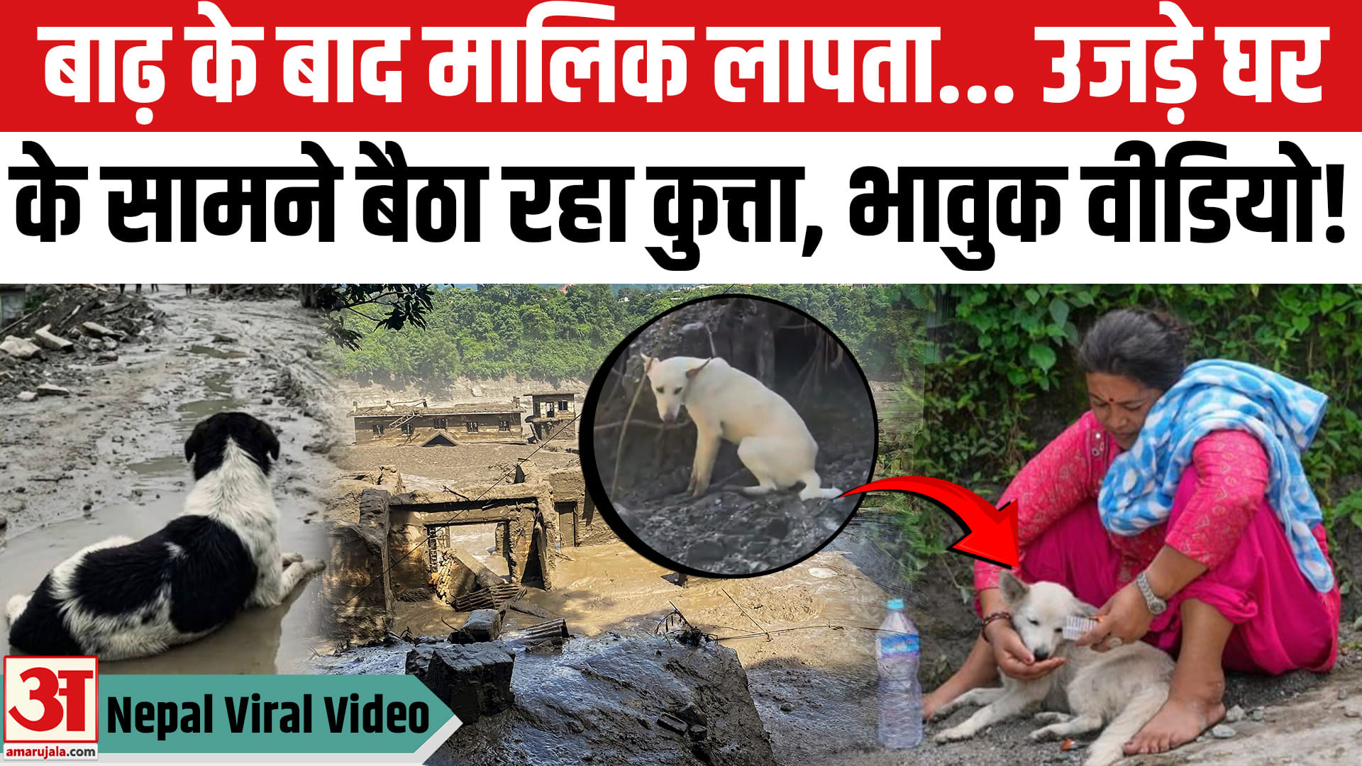 Nepal Viral Video