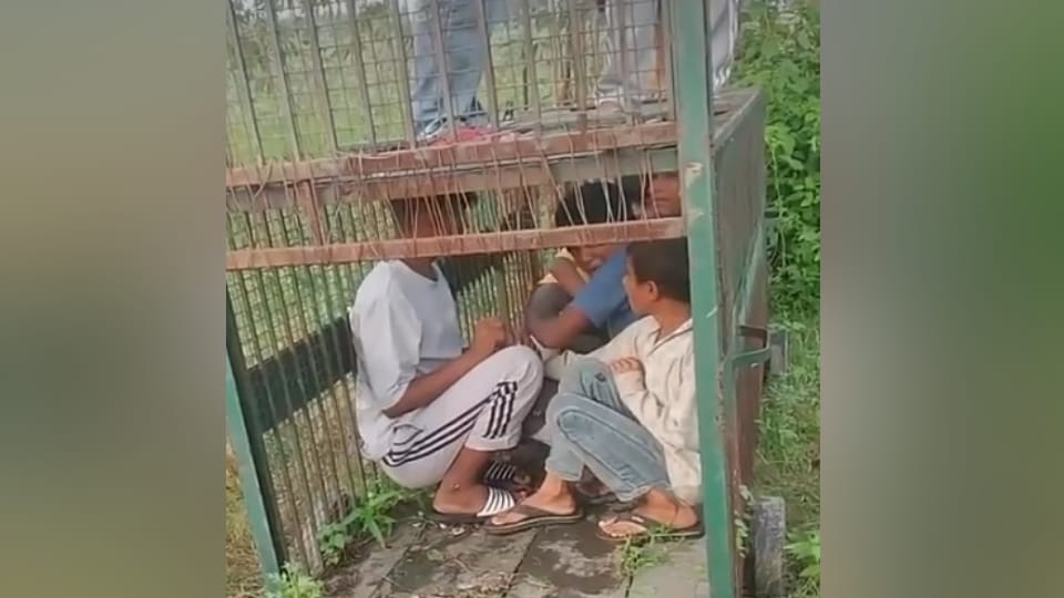 Bijnor: Children inside a leopard trap—turned into a game, lives being put at risk; video going viral