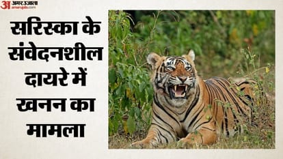 सरिस्का के संवेदनशील दायरे में खनन का मामला