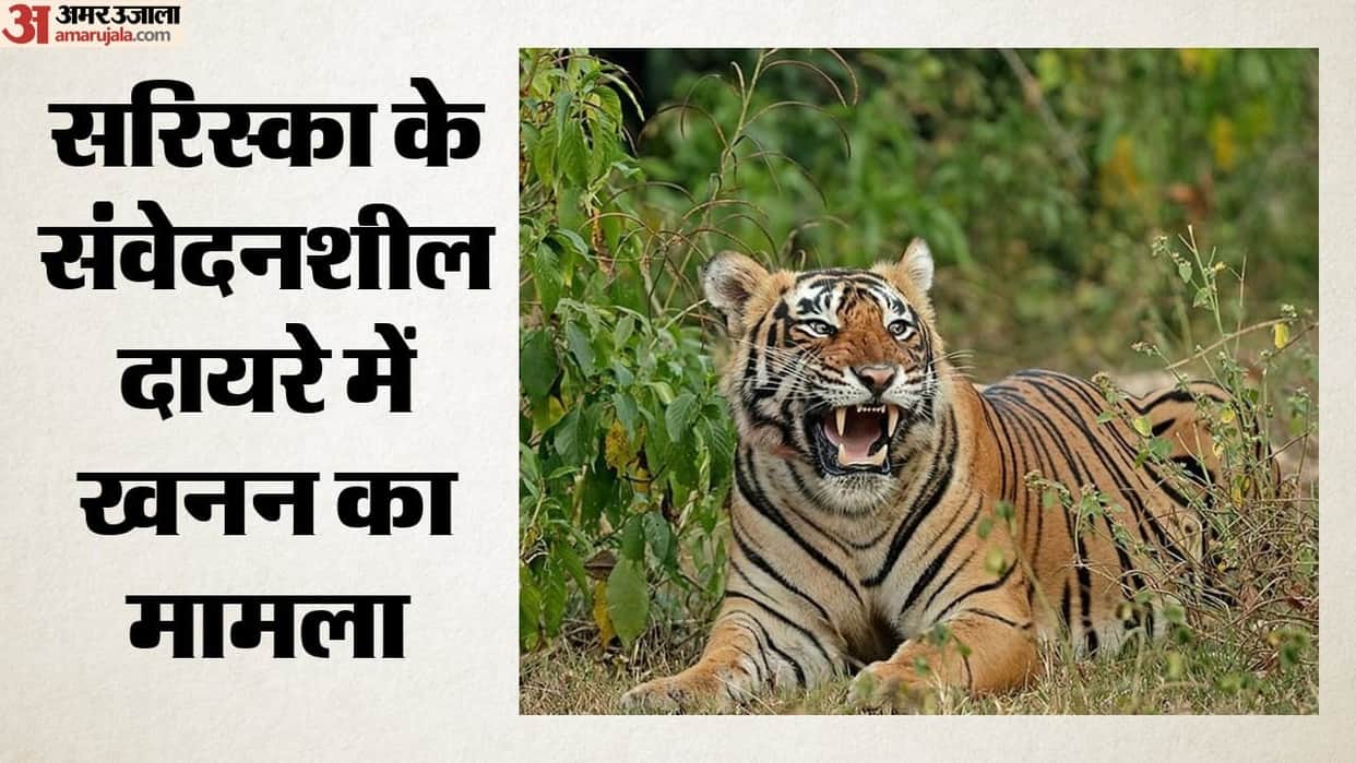Rajasthan: Six mines operating within a 10-km radius of Sariska NGT report reveals details news in hindi