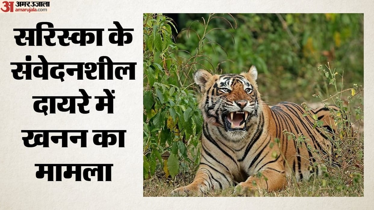Rajasthan: Six mines operating within a 10-km radius of Sariska NGT report reveals details news in hindi
