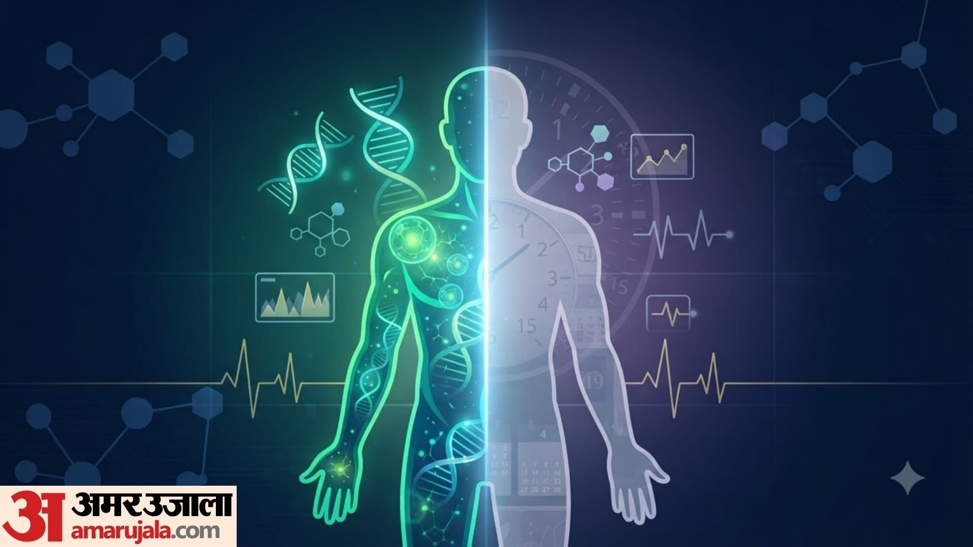 Difference between Chronological and Biological Age in hindi how to calculate biological age