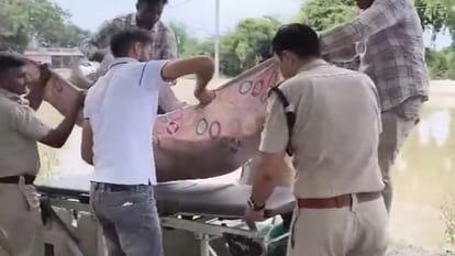 हांसी ब्रांच नहर से मिला महाराष्ट्र के जवान का शव