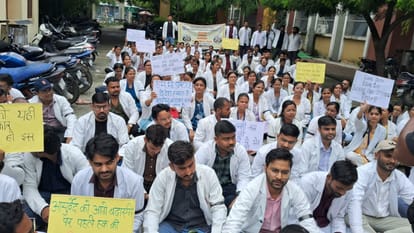 मानदेय के लिए कामकाज छोड़ विरोध पर उतरे आयुष इंटर्न डॉक्टर।