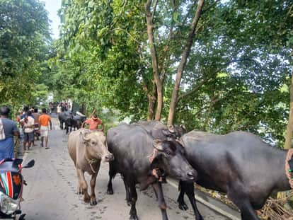 know about bihar flood situation near my area on maps google bihar flood live bihar news update in hindi