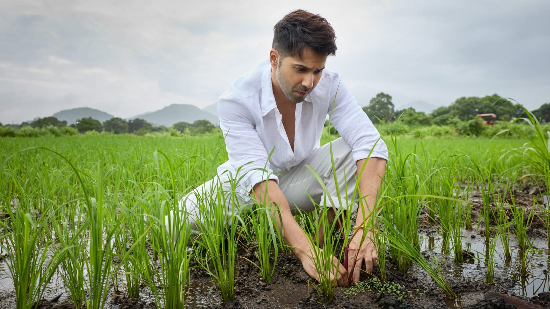 Varun dhawan started farming shares photos from farm users comment on it