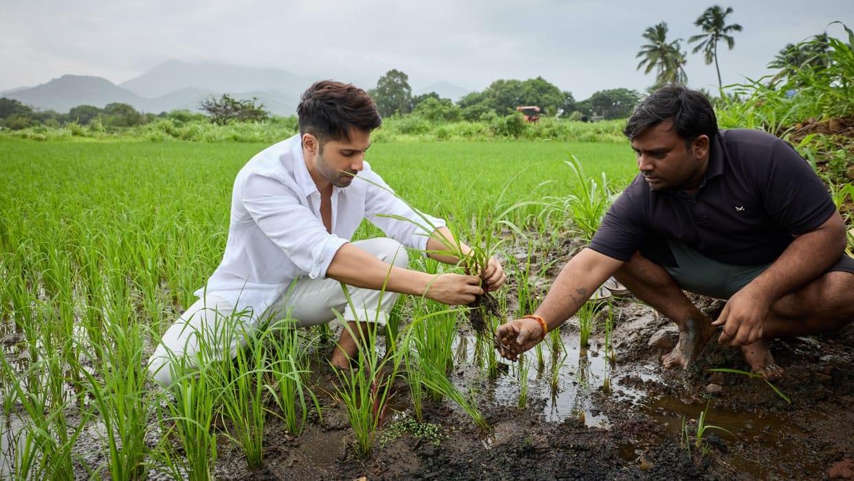 Varun dhawan started farming shares photos from farm users comment on it
