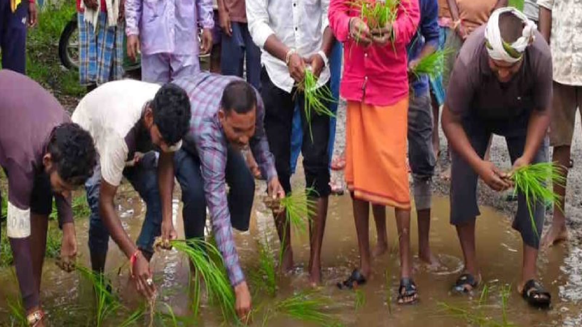 जर्जर सड़क से परेशान ग्रामीणों ने गड्ढों में रोपे पौधे