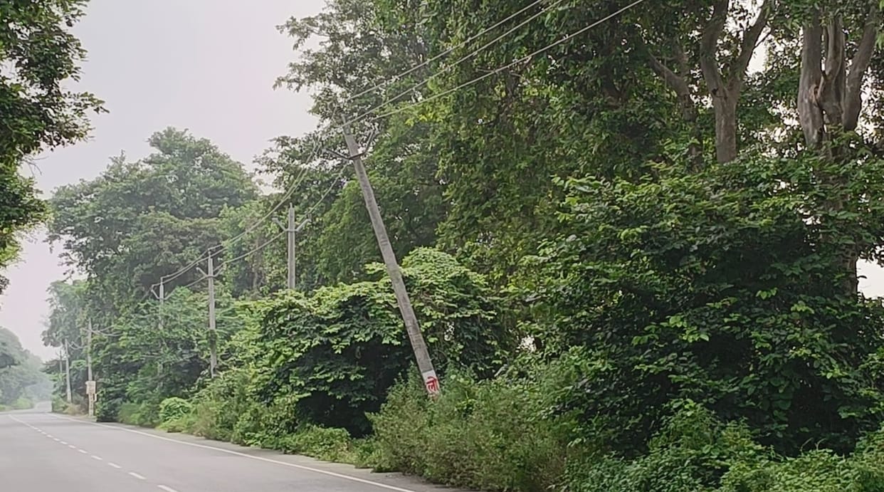 Kanpur 11000 volt high tension pole leans due to rain wires dangling amidst tree branches