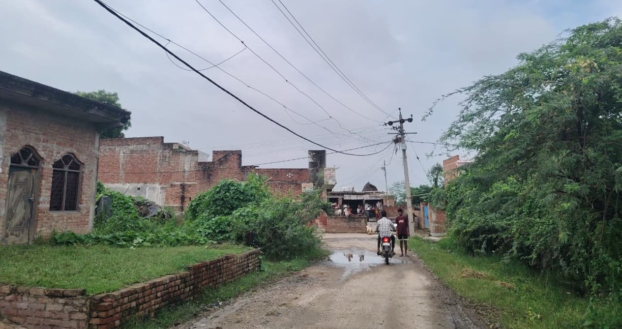 सड़क से महज आठ फीट की ऊंचाई पर झूल रही एलटी लाइन