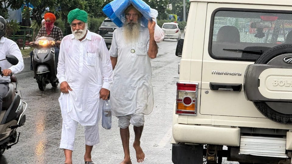 Farmers Stand Firm at Protest Site in Mohali Despite Rain