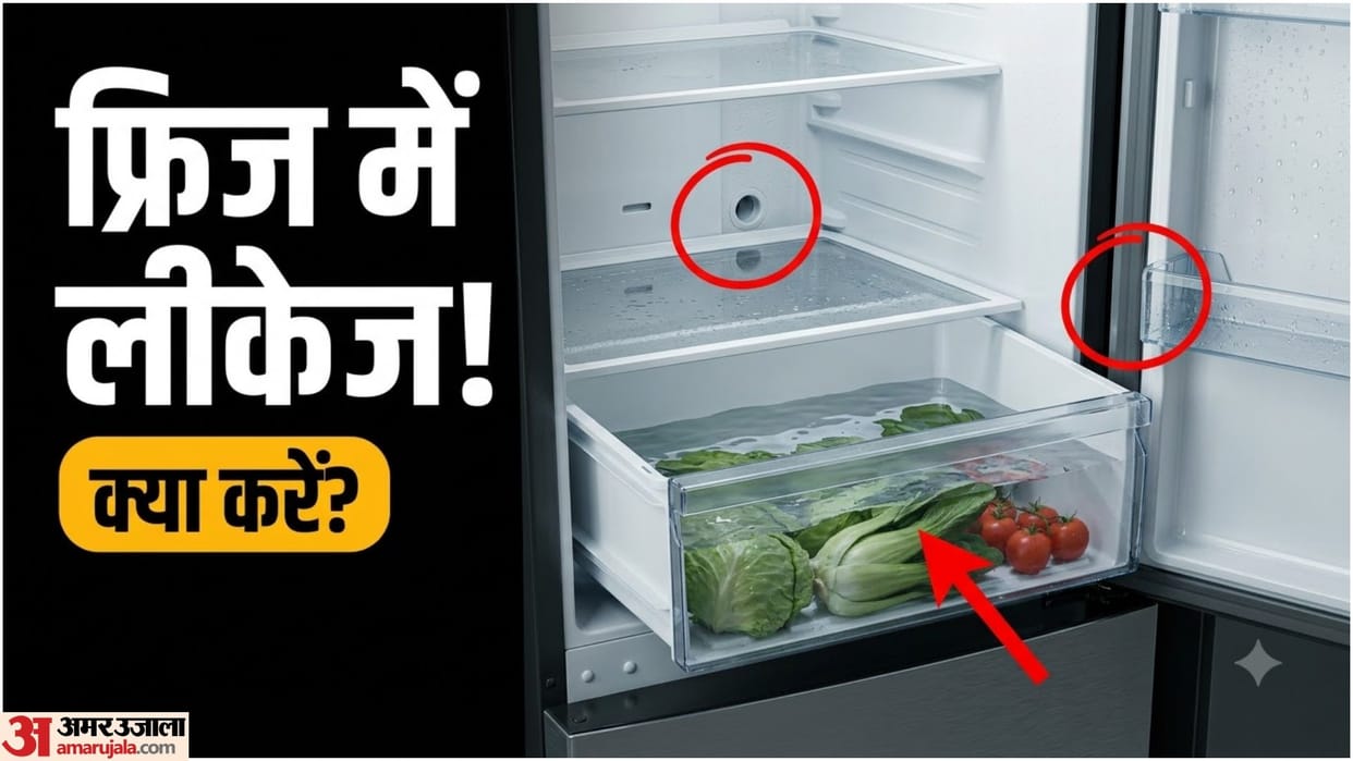 Fridge Water Leakage: Why Is Water Collecting in the Vegetable Tray? Check These Problems