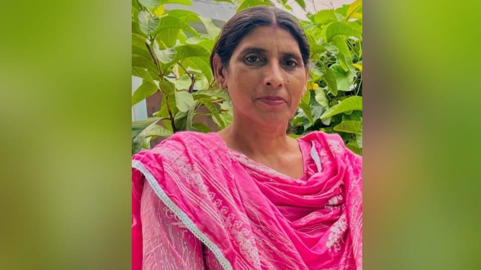 Accident in Sunam Woman dies after being crushed by collapsing rice sheller wall