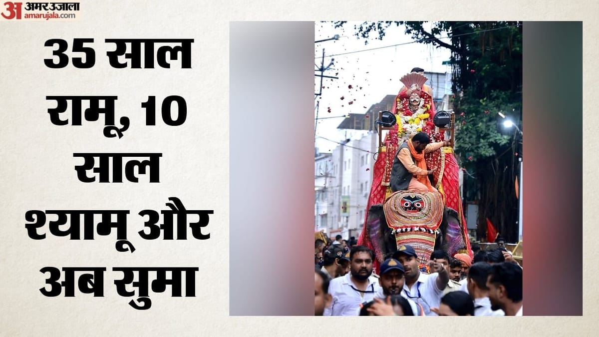 महाकाल की सवारी में नया गजराज: श्यामू को ब्रेक, तमिलनाडु से आई सुमा ने संभाली जिम्मेदारी; जानें खासियत