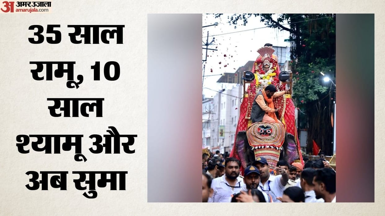 Mahakal’s Divine Servant: Meet Suma, the 100 kg Daily Diet Elephant from Tamil Nadu