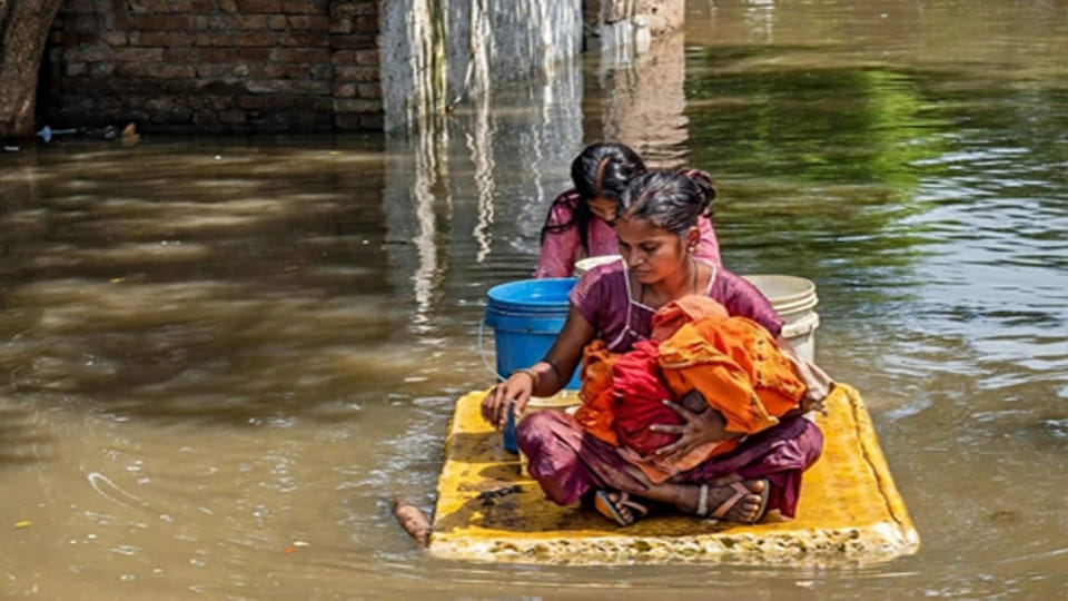 300 homes abandoned due to floods, hopes dashed; NDRF rescue operations underway in Pipauri village
