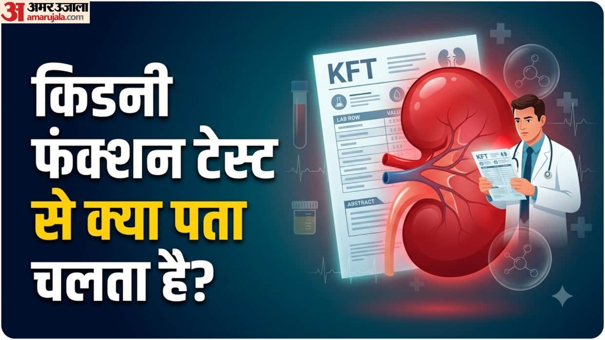 Kidney Function Test use When Should You Go for Your Kft test Understanding the report