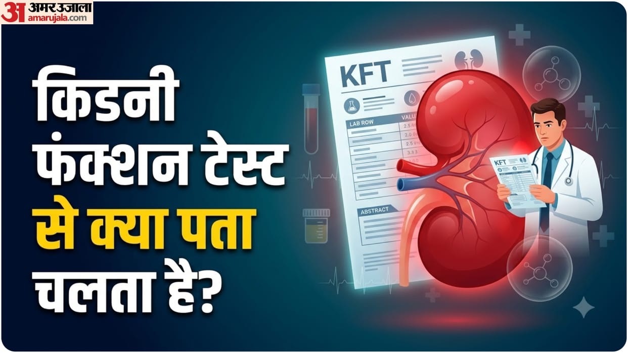 Kidney Function Test use When Should You Go for Your Kft test Understanding the report