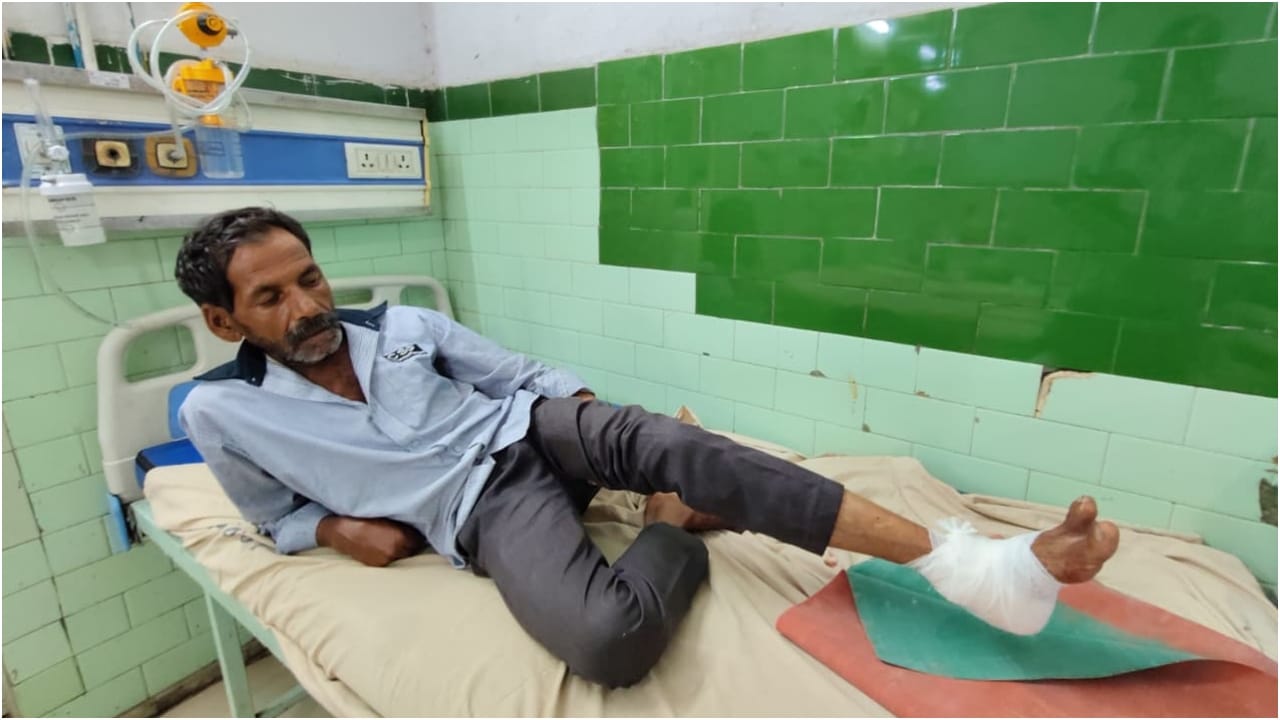Monkeys attacked a rickshaw puller in Bareilly