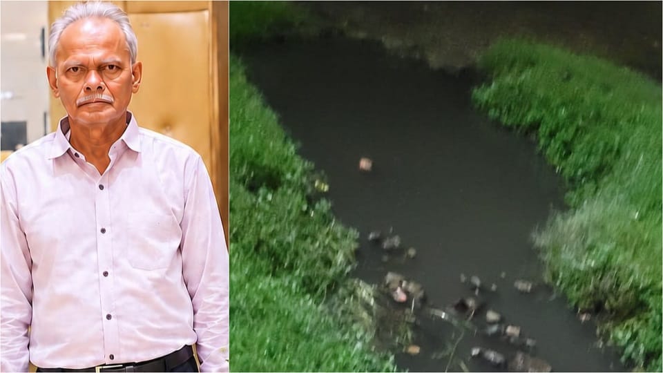 नाले में गिरकर बुजुर्ग की माैत।
