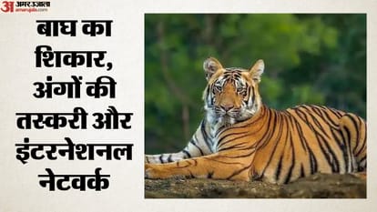 सांकेतिक