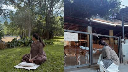 Samantha Ruth Prabhu do gau seva In Pregnancy shares photos from Isha Foundation