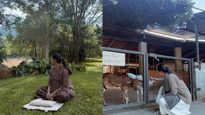 Samantha Ruth Prabhu do gau seva In Pregnancy shares photos from Isha Foundation