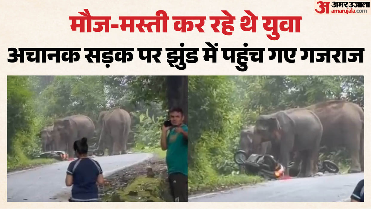 Kotdwar herd of elephants suddenly appeared on Pulinda Road youths run away vehicles were damaged