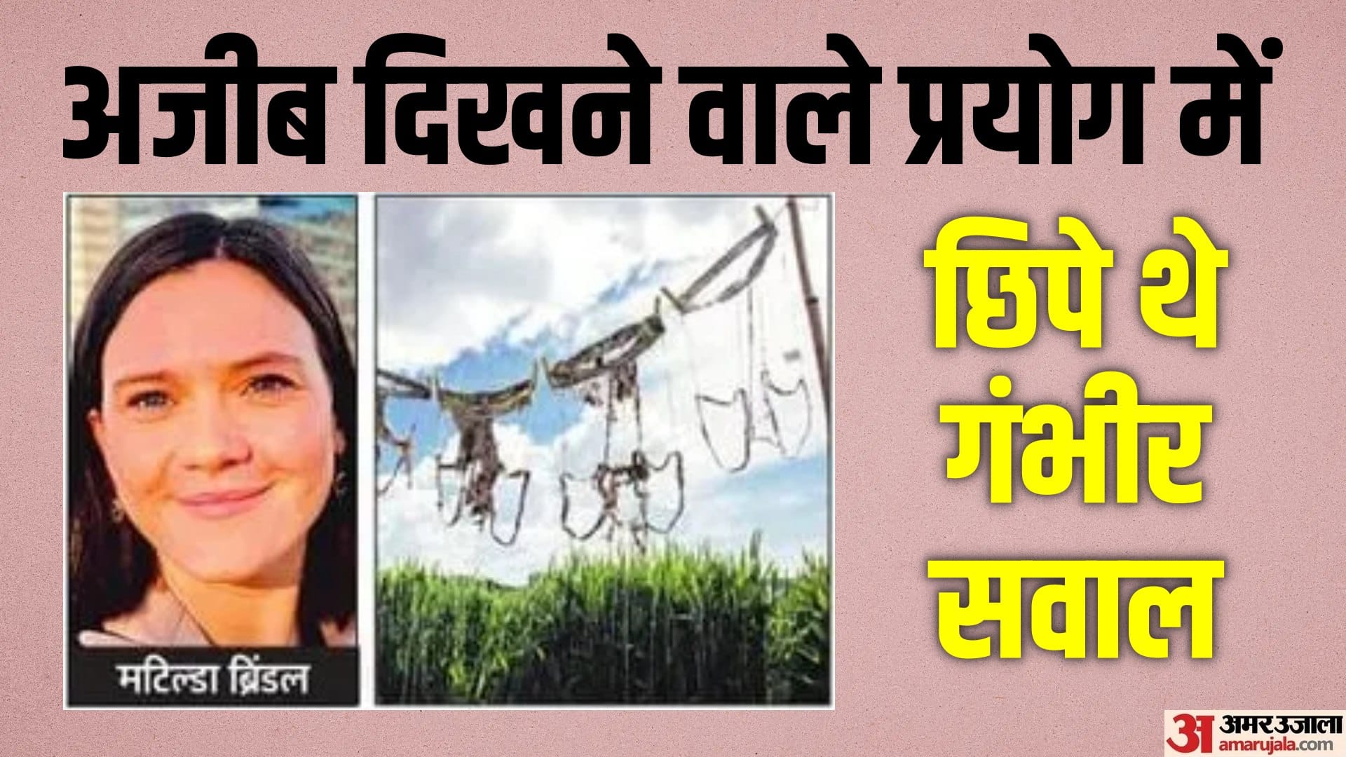 स्विटजरलैंड में वैज्ञानिकों का सम्मान