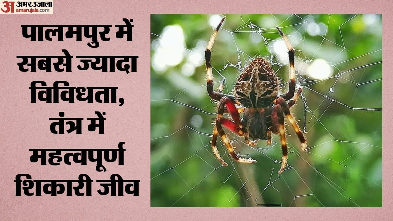 अध्ययन में गिया जिंगडोंग को भारत में पहली बार दर्ज किया गया है।