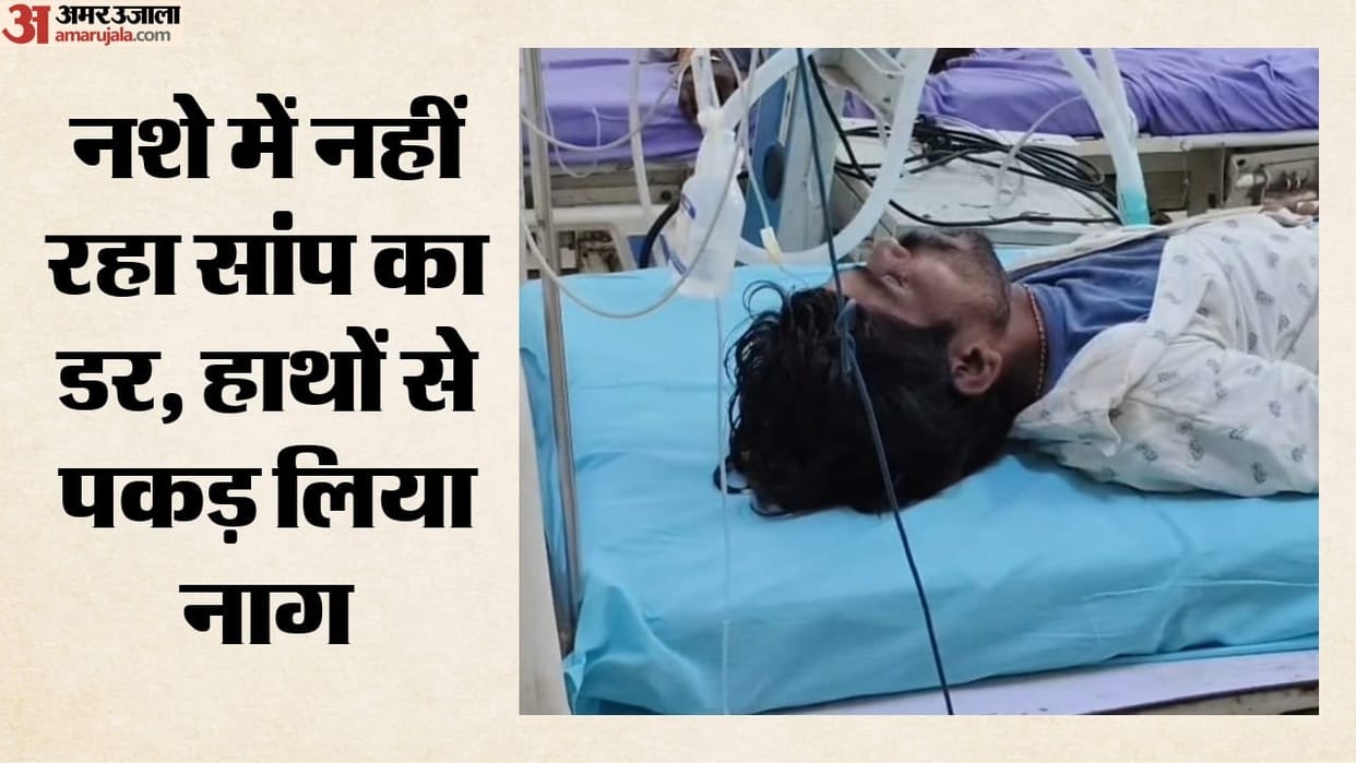 Drunk Man Grabs Venomous Cobra After Consuming Spurious Liquor in Sagar Hospitalized After Multiple Bites