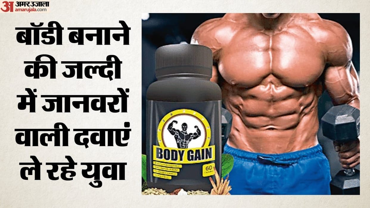 young people using animal steroids for bodybuilding kidney liver heart risks