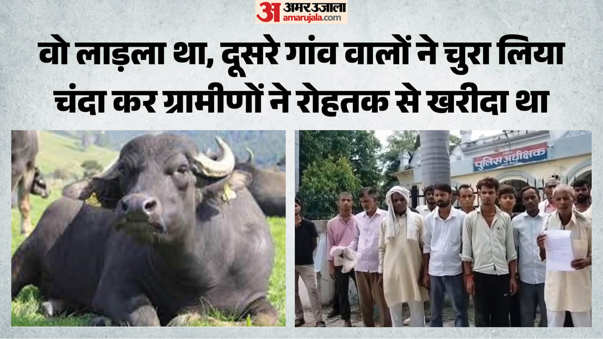 Villagers Hold Police Meeting Over Missing Buffalo in Mainpuri