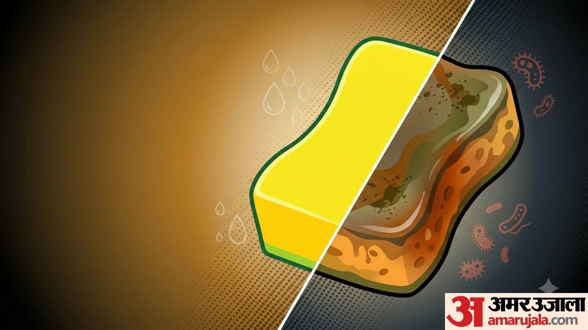 How long can I use a sponge to wash my dishes dish sponge ko kitne din me change karna chahiye