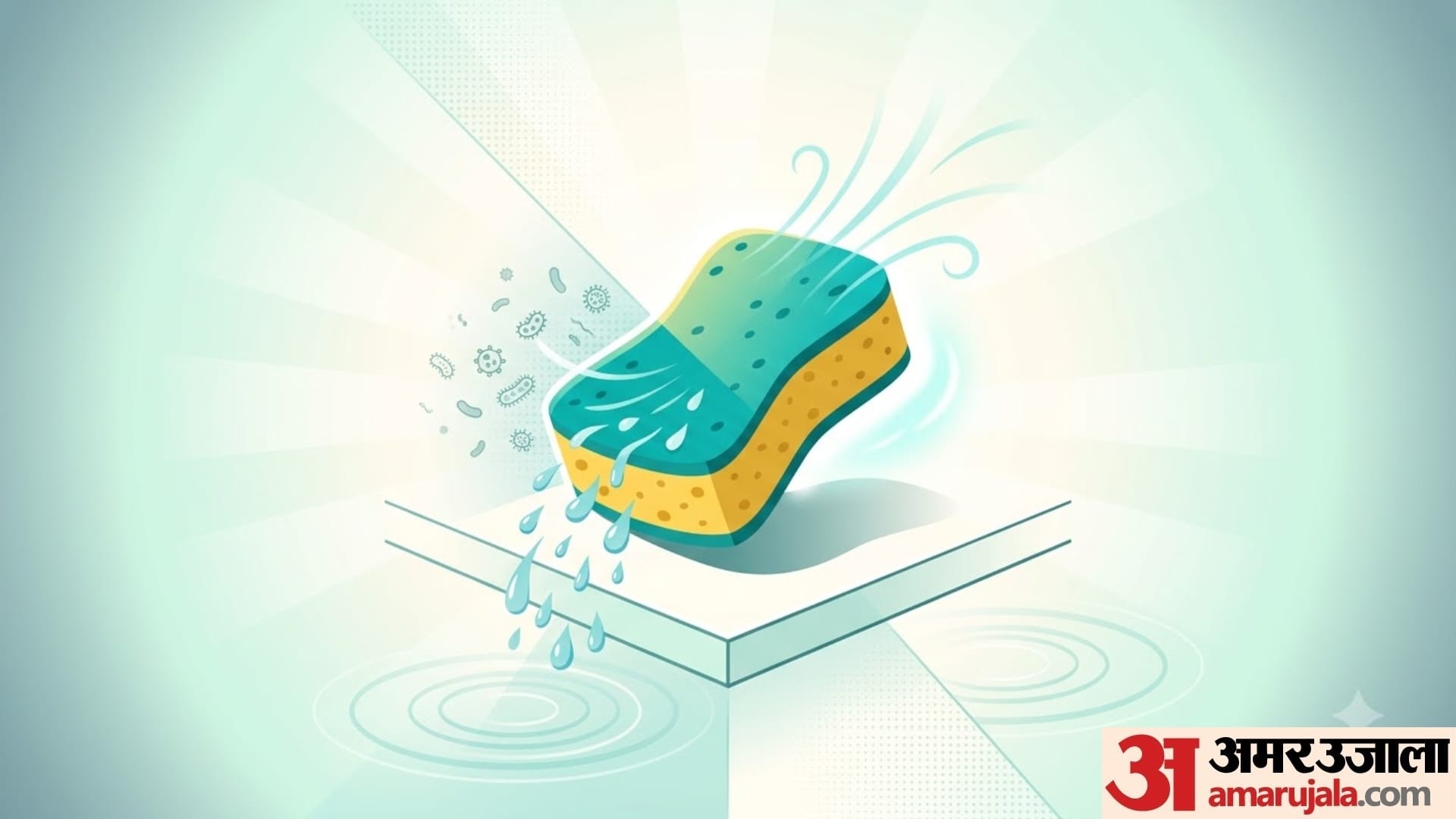 How long can I use a sponge to wash my dishes dish sponge ko kitne din me change karna chahiye
