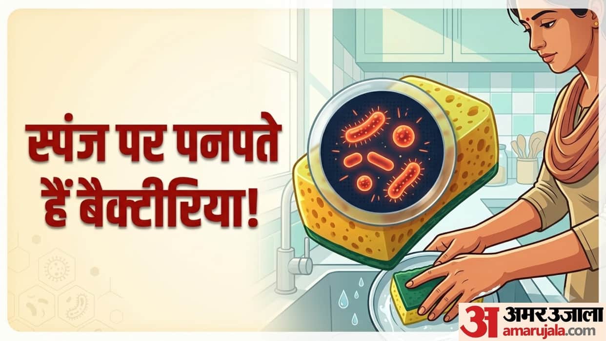 How long can I use a sponge to wash my dishes dish sponge ko kitne din me change karna chahiye