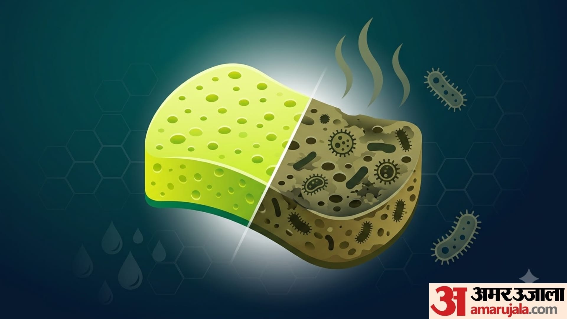 How long can I use a sponge to wash my dishes dish sponge ko kitne din me change karna chahiye