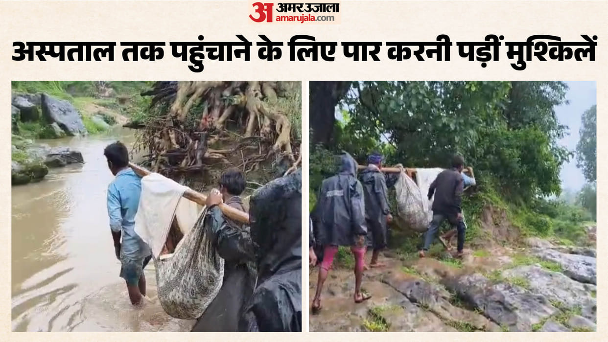 MP Healthcare Crisis No Ambulance for Woman in Pain Villagers Carry Her on Makeshift Stretcher Through Jungle