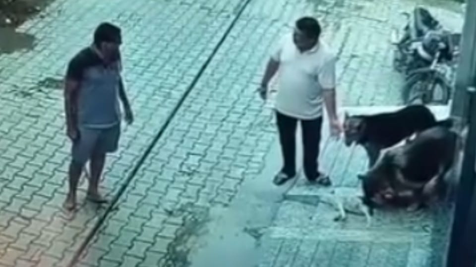 Puppy beaten to death in Pathankot, video goes viral