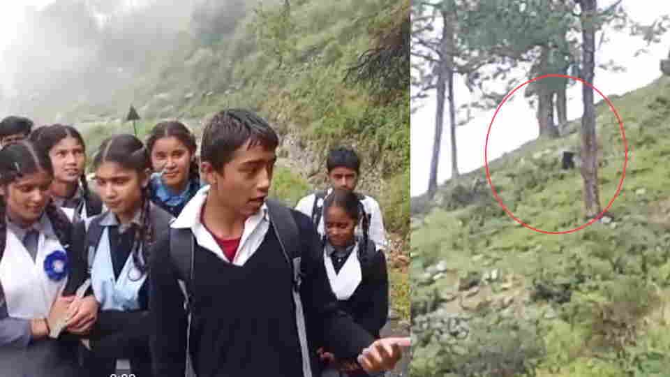 Chamoli News bear with two cubs came in front for Children while going to school