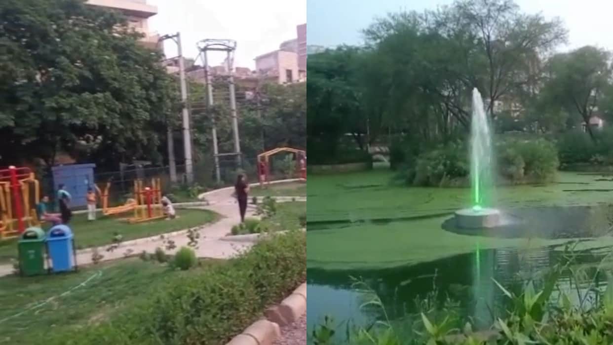 Silokhra Pond in Gurugram become picnic spot fountains with colorful lights have been installed