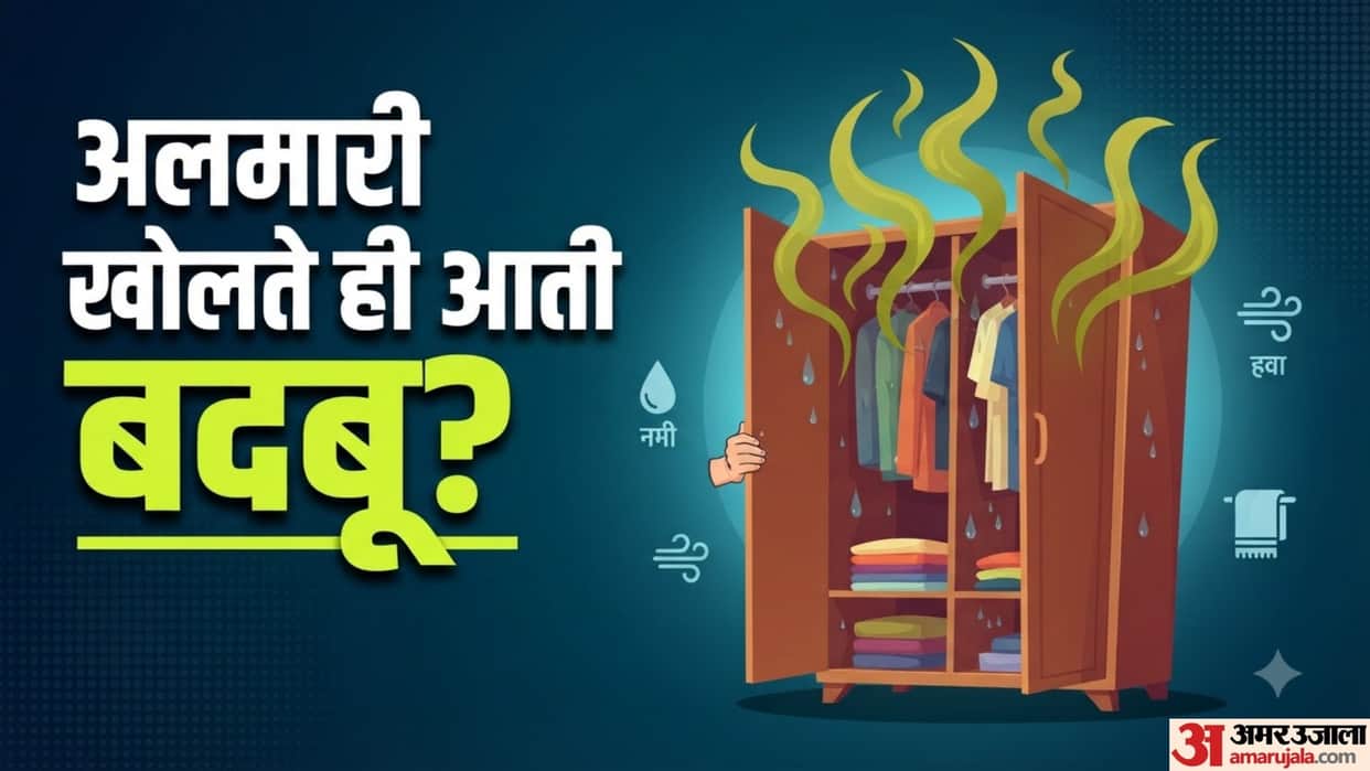 Why Do Clothes Smell Bad Inside the Wardrobe Know all the details inside