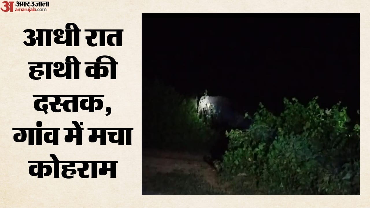 गांव में हाथी ने मचाया कोहराम