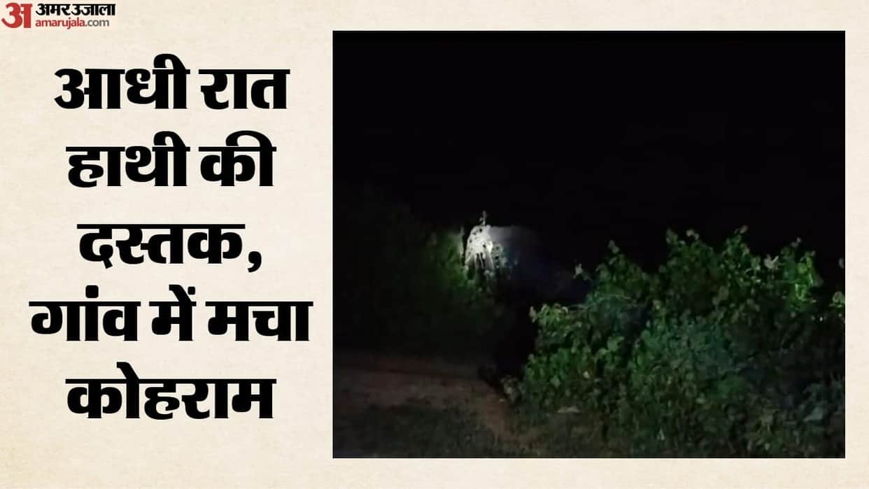 MP News Wild Elephant Attacks Village in Maihar Kills Elderly Man and Destroys Houses